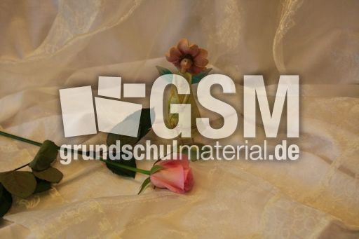 Tulpenstrauß-Elfe-75.jpg